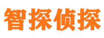 山亭市私家侦探